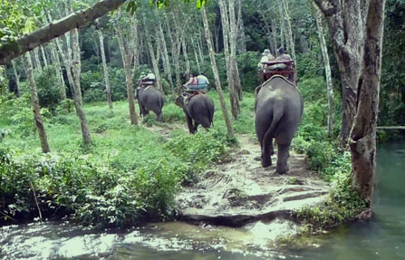Visit Nosey Parker's Elephant Camp